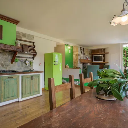 Basilimo Di Hill * Capannori