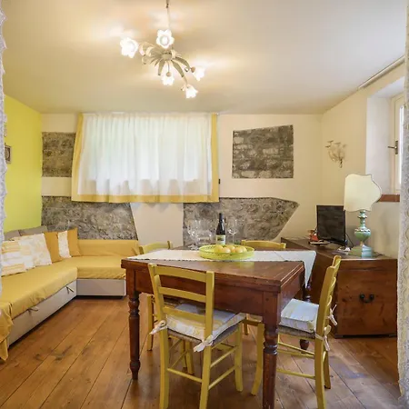 Basilimo Di Hill * Capannori